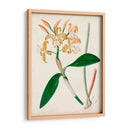 Orchid Pair Ii | Cuadro decorativo de Canvas Lab