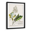 Seductor Botamical I | Cuadro decorativo de Canvas Lab