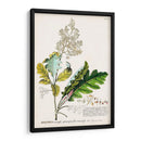 Seductor Botamical I | Cuadro decorativo de Canvas Lab