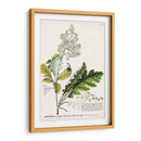 Seductor Botamical I | Cuadro decorativo de Canvas Lab