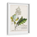 Seductor Botamical I | Cuadro decorativo de Canvas Lab