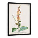 Seductor Botamical Ii | Cuadro decorativo de Canvas Lab