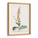 Seductor Botamical Ii | Cuadro decorativo de Canvas Lab