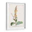 Seductor Botamical Ii | Cuadro decorativo de Canvas Lab