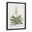 Seductor Botamical Iii | Cuadro decorativo de Canvas Lab