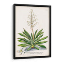 Seductor Botamical Iii | Cuadro decorativo de Canvas Lab