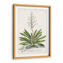 Seductor Botamical Iii | Cuadro decorativo de Canvas Lab