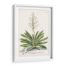 Seductor Botamical Iii | Cuadro decorativo de Canvas Lab