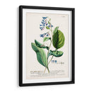 Seductor Botamical V | Cuadro decorativo de Canvas Lab