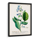 Seductor Botamical V | Cuadro decorativo de Canvas Lab