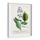 Seductor Botamical V | Cuadro decorativo de Canvas Lab