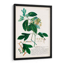 Seductor Botamical Vi | Cuadro decorativo de Canvas Lab