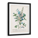 Seductor Botamical Vii | Cuadro decorativo de Canvas Lab