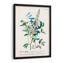 Seductor Botamical Vii | Cuadro decorativo de Canvas Lab