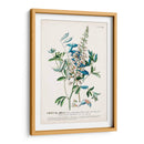 Seductor Botamical Vii | Cuadro decorativo de Canvas Lab