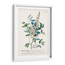 Seductor Botamical Vii | Cuadro decorativo de Canvas Lab