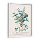 Seductor Botamical Vii | Cuadro decorativo de Canvas Lab