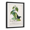 Seductor Botamical Viii | Cuadro decorativo de Canvas Lab