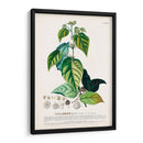 Seductor Botamical Viii | Cuadro decorativo de Canvas Lab