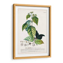 Seductor Botamical Viii | Cuadro decorativo de Canvas Lab