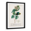 Seductor Botamical Ix | Cuadro decorativo de Canvas Lab
