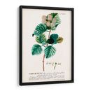 Seductor Botamical Ix | Cuadro decorativo de Canvas Lab