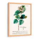 Seductor Botamical Ix | Cuadro decorativo de Canvas Lab