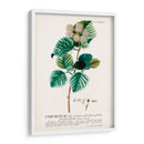 Seductor Botamical Ix | Cuadro decorativo de Canvas Lab