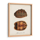 Tortugas Y Conchas Antiguas I | Cuadro decorativo de Canvas Lab