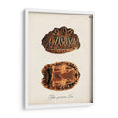 Tortugas Y Conchas Antiguas I | Cuadro decorativo de Canvas Lab