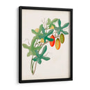 Botánico De Los Trópicos Iii. | Cuadro decorativo de Canvas Lab