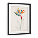 Botánico De Los Trópicos Iv. | Cuadro decorativo de Canvas Lab