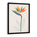 Botánico De Los Trópicos Iv. | Cuadro decorativo de Canvas Lab