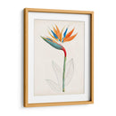 Botánico De Los Trópicos Iv. | Cuadro decorativo de Canvas Lab