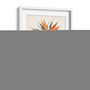 Botánico De Los Trópicos Iv. | Cuadro decorativo de Canvas Lab