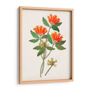 Botánico De Los Trópicos V. | Cuadro decorativo de Canvas Lab