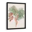 Botánico De Los Trópicos Vii. | Cuadro decorativo de Canvas Lab