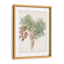 Botánico De Los Trópicos Vii. | Cuadro decorativo de Canvas Lab