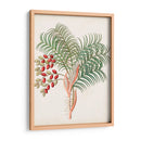 Botánico De Los Trópicos Vii. | Cuadro decorativo de Canvas Lab