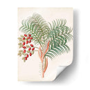 Botánico De Los Trópicos Vii. | Cuadro decorativo de Canvas Lab