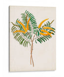 Botánico De Los Trópicos Viii. | Cuadro decorativo de Canvas Lab
