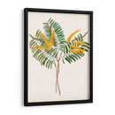 Botánico De Los Trópicos Viii. | Cuadro decorativo de Canvas Lab