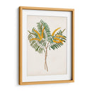 Botánico De Los Trópicos Viii. | Cuadro decorativo de Canvas Lab