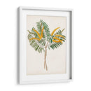 Botánico De Los Trópicos Viii. | Cuadro decorativo de Canvas Lab