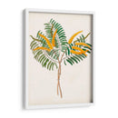 Botánico De Los Trópicos Viii. | Cuadro decorativo de Canvas Lab