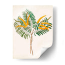 Botánico De Los Trópicos Viii. | Cuadro decorativo de Canvas Lab