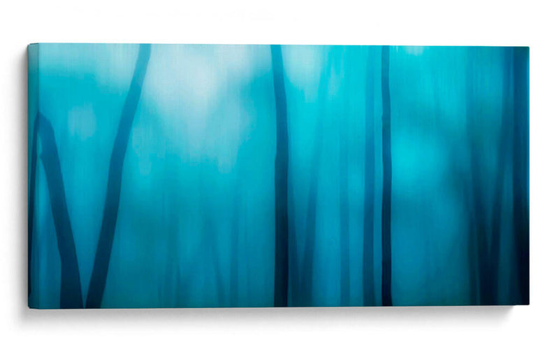 Harriman Woods I - James McLoughlin | Cuadro decorativo de Canvas Lab