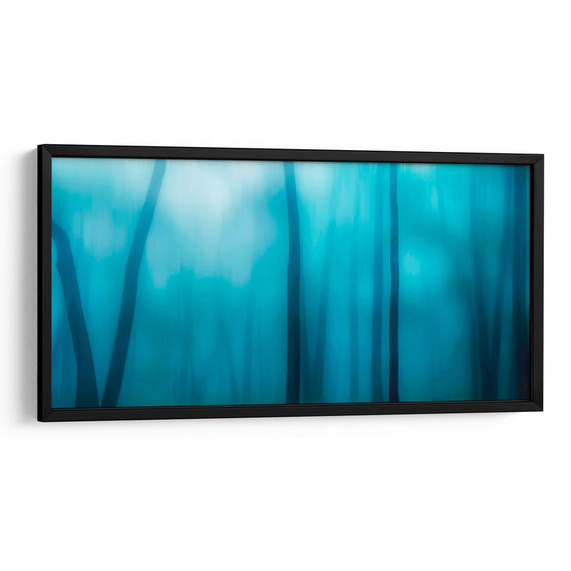 Harriman Woods I - James McLoughlin | Cuadro decorativo de Canvas Lab