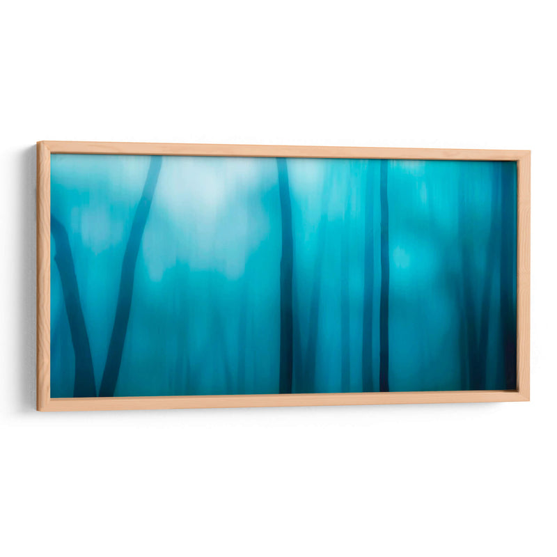 Harriman Woods I - James McLoughlin | Cuadro decorativo de Canvas Lab