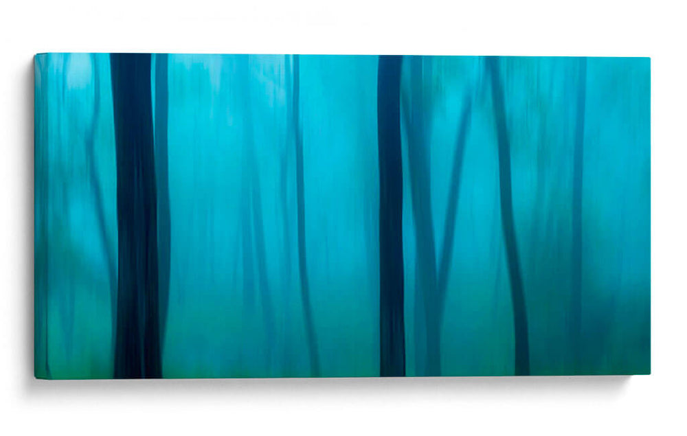 Harriman Woods Ii - James McLoughlin | Cuadro decorativo de Canvas Lab